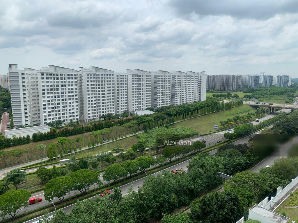 Blk 212A Punggol Walk (Punggol), HDB 3 Rooms #269638801